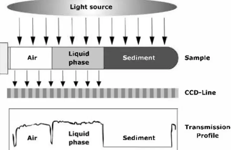 FIG. 1.  Measuring principle of the separation analyzer (LUMiFuge).