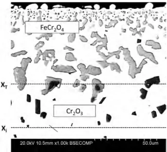 Figure 5. BSE-SEM cross-section of alloy DC reacted for 100 h at 1150 8C in CO-CO 2