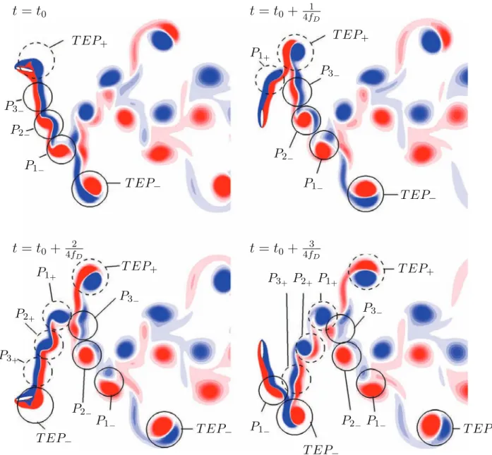 Fig. 7. A depiction of the 2(4 ) P shedding mode with vortex pairs labelled for the case of aspect ratio Γ = 6.0 and f * D = 0.150 .