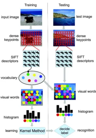 Fig. 3 The BOVW learning model for image classification. The feature vector consists of SIFT features computed on a regular grid across the image (dense SIFT) and vector quantized into visual words