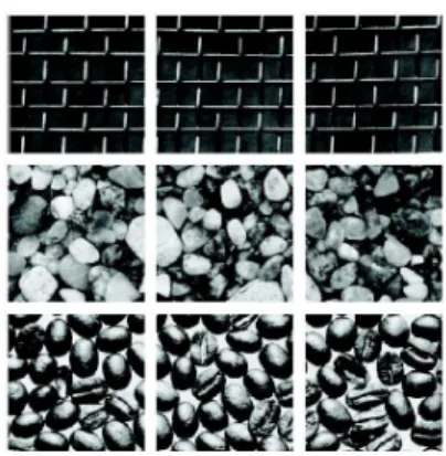 Fig. 6 Sample images from three classes of the Brodatz data set.