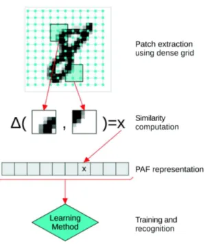 Fig. 1 The classification system based on Patch Autocorrelations Features. The PAF repre- repre-sentation is obtained by storing the similarity between pairs of patches that are previously extracted using a dense grid over the input image