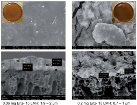 Fig. 11 E ﬀect of transmembrane ﬂux on BMR SP e ﬃciency at 0.3 g L 1 pectin concentration, 3 g m 2 Enz SP and 40  C: (a) TMP, (b) rate of fouling at di ﬀerent ﬂux for control and BMR SP , (c) SEM micrographs of Enz SP layer after pectin ﬁltration at 15 