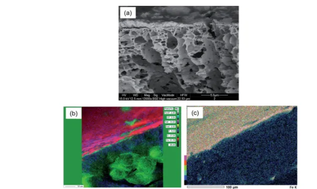 Fig. 3c is the single element map of Fe along the membrane cross-section containing 3 g m 2 Enz SP aer ltering 0.3 g L 1 pectin solution at 15 L m 2 h 1 