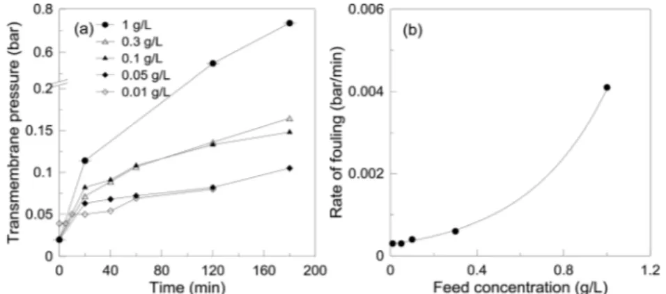Fig. 7 E ﬀect of feed concentration on the formation of the fouling layer on the membrane.Open Access Article