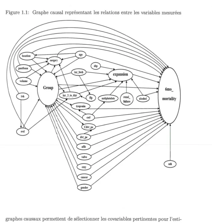 Figure  1.1 :  Graphe causal r eprésentant  les  relations entre  les  variables  mesurées 