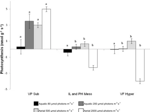 Fig. 2. Dry mass-related net photosynthesis of wet thalli of freshwater lichens. Photosynthesis of immerged thalli (O 2 evolution) or aerial fully hydrated thalli (CO 2 uptake) were measured on selected species