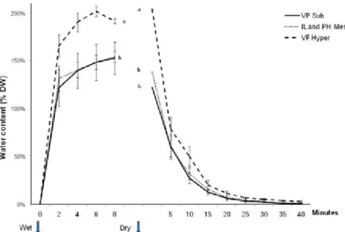 Fig. 3. Changes in lichen freshwater water content versus time after immersion in liquid water of dry thalli and then after placing the hydrated thalli in-air (at T = 20 xC and RH = 50%)