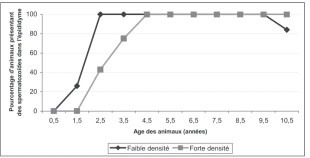 Figure 5 : Influence de la densité de population sur l'âge de maturité sexuelle chez l'âne