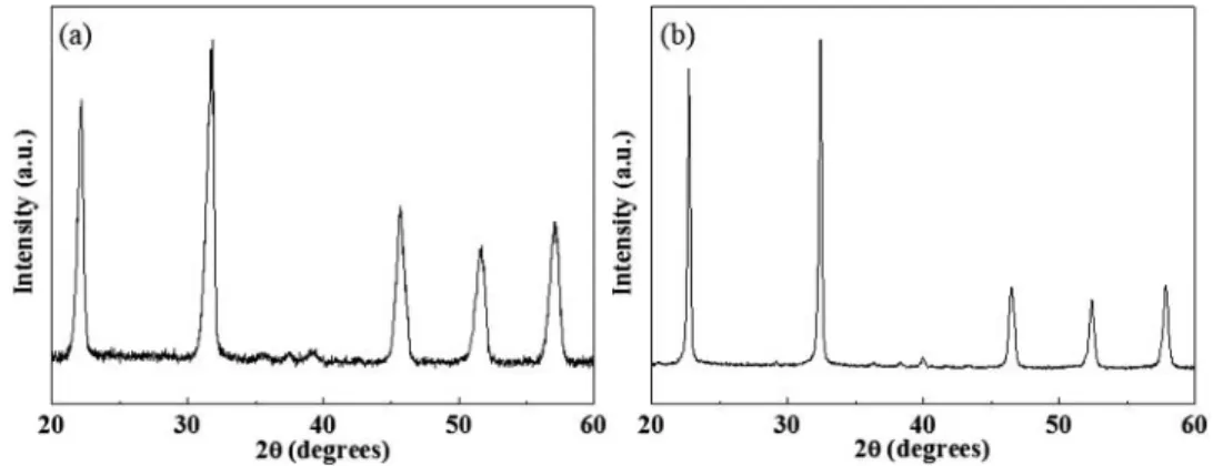 Figure 3. XRD patterns of NN NW ’s (a) and NN P’s (b) at RT.