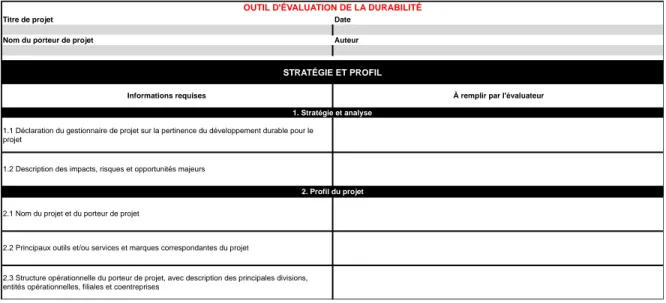 Figure 4.2  Extrait 1 de l’outil créé – stratégie et profil  