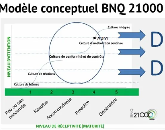 Figure 1.4 Position d’ADM selon le modèle conceptuel de progression d’une organisation de  BNQ 21000 (inspiré de : BNQ, 2011c) 