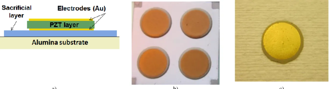 Fig. 1: Processing of a Au/PZT/Au disk (a) cross section of the multilayer structure before co-firing (b) photograph of an alumina substrate  with the screen-printed disks before firing (c) photograph of one PZT microceramic after firing and release after 