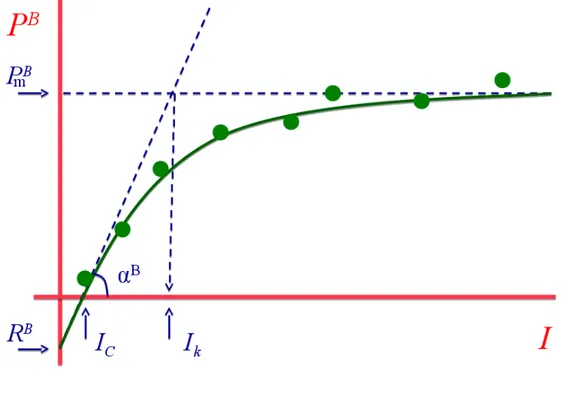 Figure 5. Photosynthesis-irradiance curve 