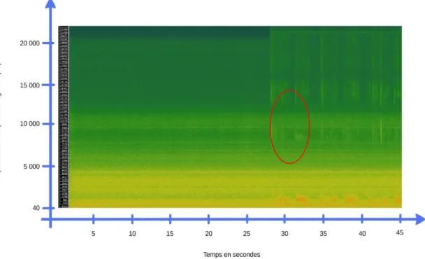 Figure 6 : Spectrogramme de « Transilvanian Hunger » de Darkthrone (00:00-00:45) 
