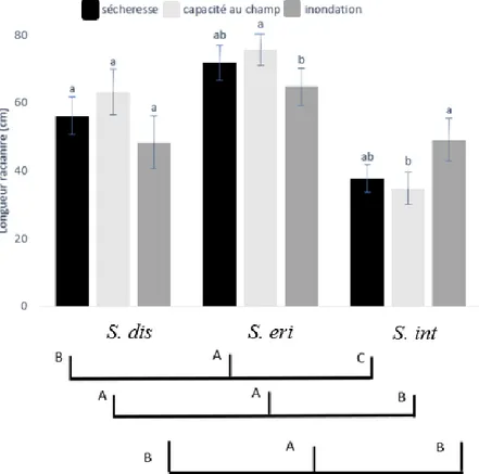 Figure  4.  Longueur  racinaire  totale  en  fonction  des  régimes  hydriques  et  en  fonction  des  espèces