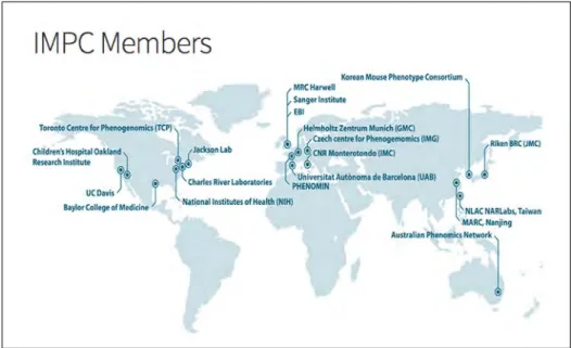 Figure IV : Les membres de l’IMPC  (http://www.mousephenotype.org/about-impc/impc-members)
