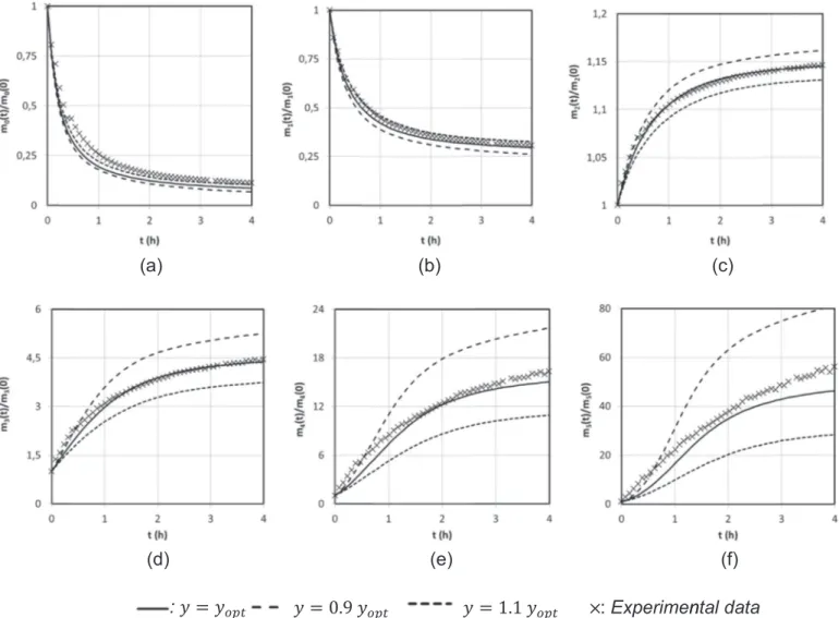 Fig. 16. Sensitivity analysis for parameter y: change over time for G ¼65 s &#34; 1 of normalized experimental and numerical moments ( D f ¼ 1.9).