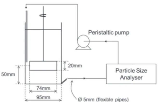 Fig. 1. Experimental apparatus.