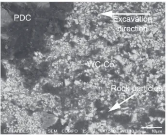 Fig. 11. Optical proﬁlometer topography of the C1 wear ﬂat spread in the WC–Co substrate (L T =17680m).