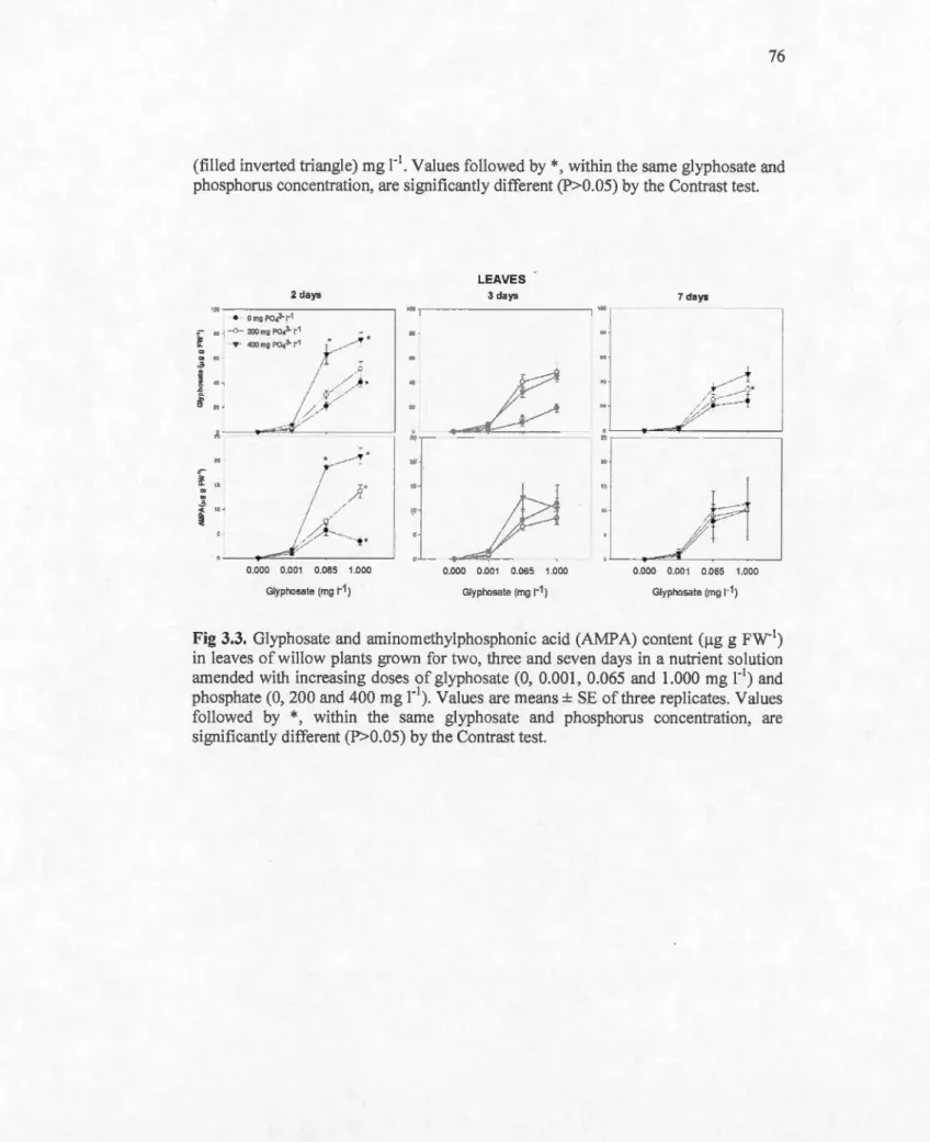 Fig  3.3.  Glyphosate and  aminomethylphosphonic  acid  (AMPA)  content  (l!g  g  FW- 1 ) 