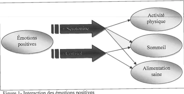 Figure 1- Interaction des émotions positives