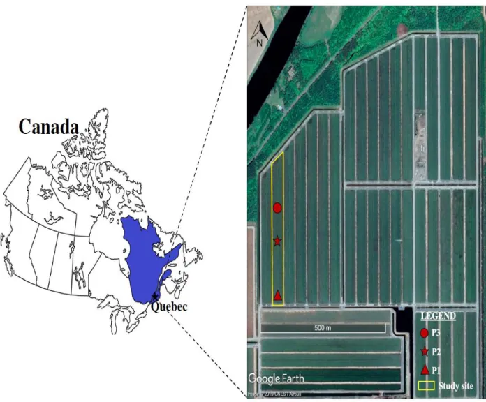 Fig.  3. Study  area,  Québec, Canada. Red landmarks represent  the locations of water table  depths observation wells