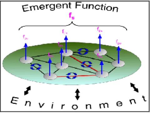 Figure 1 Emergent Function 
