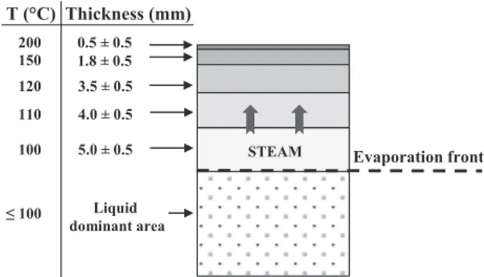 Fig. 3. Schematic representation of the thickness of the different areas in the crust after meat cylinder was subjected to the air jet heating at 210 °C for 70 min