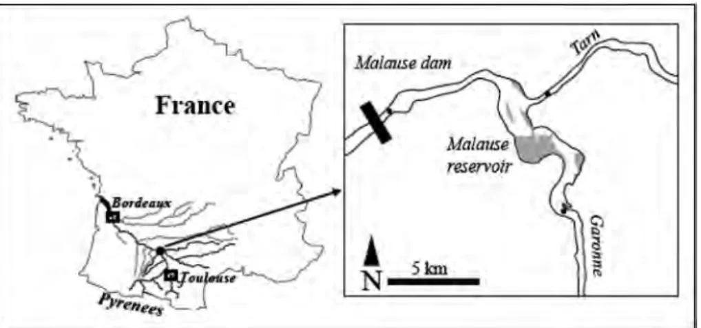 Figure 1. Study site. Left: major rivers and urban areas in Garonne ’s basin and location of the Malause pondage