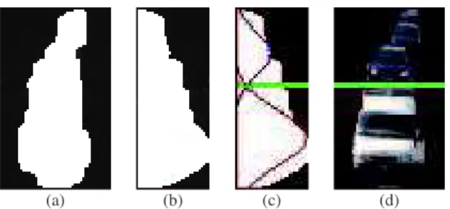 Fig. 3. Detected blob (a), variation of the blob width along the vertical axis (b) and blob splitting (c-d).
