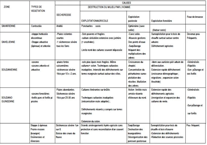Tableau N°10 A : principales causes de la désertification au Mali      