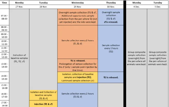 Figure 1.S1 Schedule for the faecal ACTH challenge conducted on two adult females and  one adult male mountain goat at the Calgary zoo from 27 November to 5 December 2017