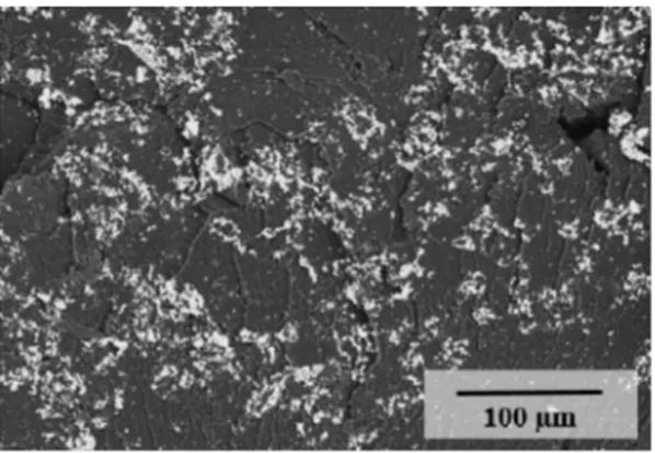 Fig. 2. SEM image of PEEK+13.5%AgNP.