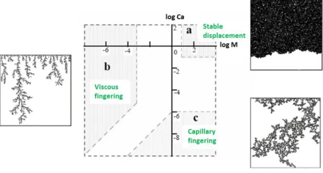 Figure 2.1 Classification of the invasion patterns during fluid drainage experiments in a porous media, as a function of the  capillary number and the ratio of the viscosities of the wetting and non-wetting fluids