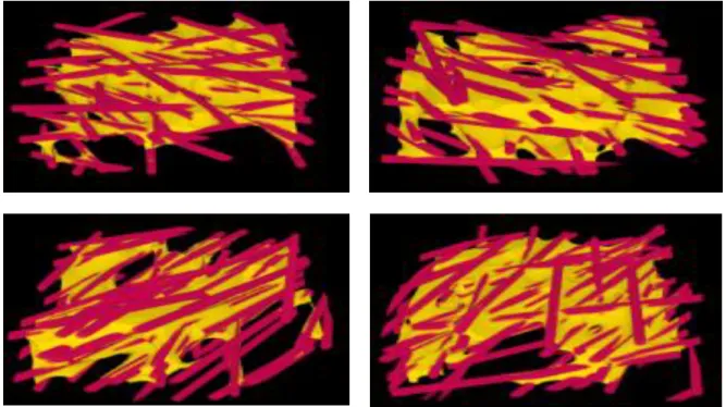 Figure 2.8 3D images of virtual GDL microstructures at the same zoom level, which vary randomly