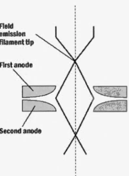 Figure 1.4:  Electron bearn source.  Illust rated, a fi eld emission filament tip cathode  and  t he a nodes  responsible  for  t he electron  extraction 