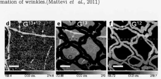 Figure  2.2:  Micro-Raman  characterization  of the isotope-labeled  graphene grown  on  Cu foil and tr ansferred  onto a Si0 2 / Si wafer