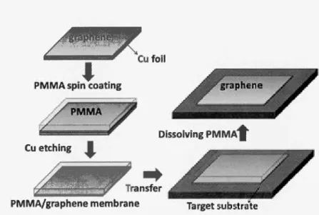 Figure  2.3:  Schematic representation  of the transfer  procedur e of graphene grown  on  copper  foils.(Lee,  2013) 
