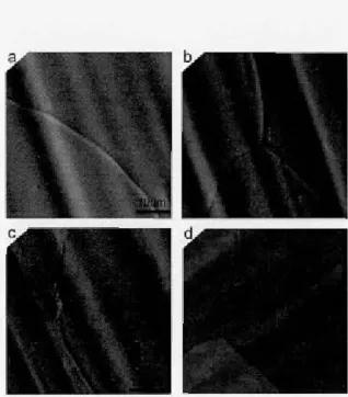 Figure  2.5:  SEM  im ages  of graphene  on  25pm  Cu  foil  substrates,  comp ared  for  growt h  by  (a)  methanol  (b)  ethanol  (c)  1-propanol  and  (d)  gas  source  methane