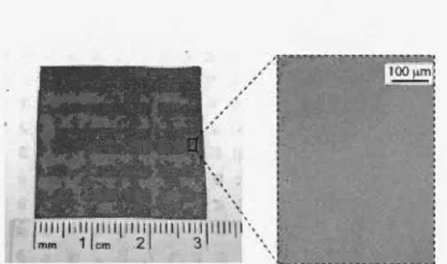 Figure 2.6:  A 3  x  3 cm 2  CVD  grap hene film  grown  using met hanol, transferred  to  a  Si0 2 / Si substrate