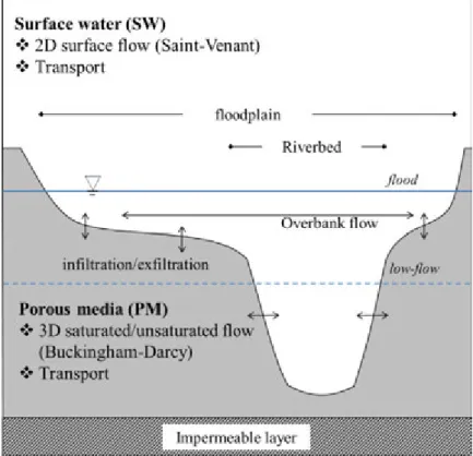 Fig. 1. Presentation of the modelling approach. Water ﬂows are modelled in and between PM and SW domains