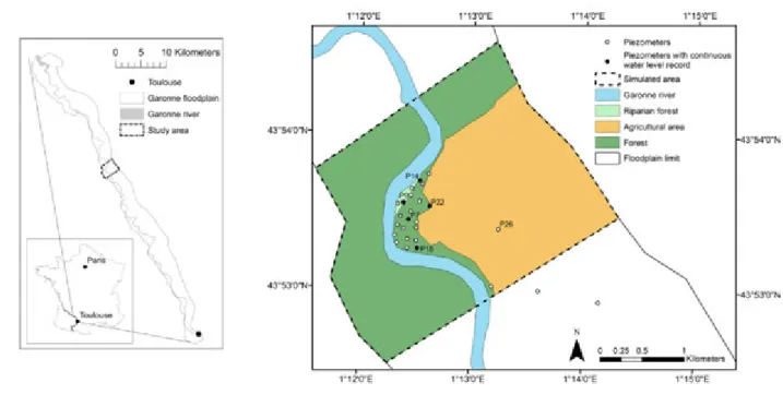 Fig. 4. Study site location, simulated area and piezometer location.