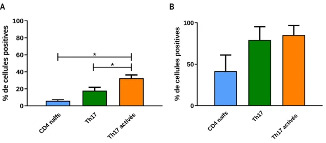 Figure 7 : Expression du DCIR dans des lymphocytes T CD4 naïfs et des lymphocytes T CD4 polarisés en Th17