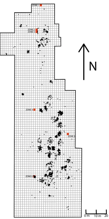 Figure 11 : Carte illustrant l’emplacement des 6 zones d’échantillonnage sur le site de  Kuptana (PjRa-18)