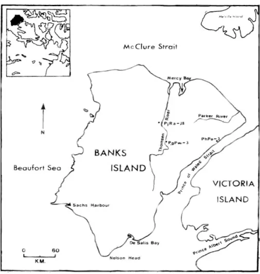 Figure 3 : Carte de l’île Banks illustrant la position des sites archéologiques de Haogak  (PhPo-3), Nasogaluak (PgPw-3) et Kuptana (PjRa-18) (source : Will 1985 : 93)