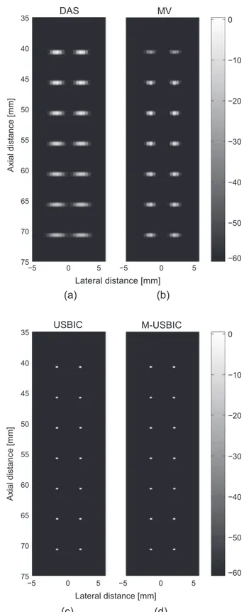 Fig. 3 presents the BF results of a simulated medium with the phased array imaging technique
