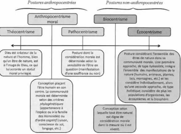 Figure 2.2 Principa les  postures  morales en  éthique environnementale  résumé de  Hess (2013,  p