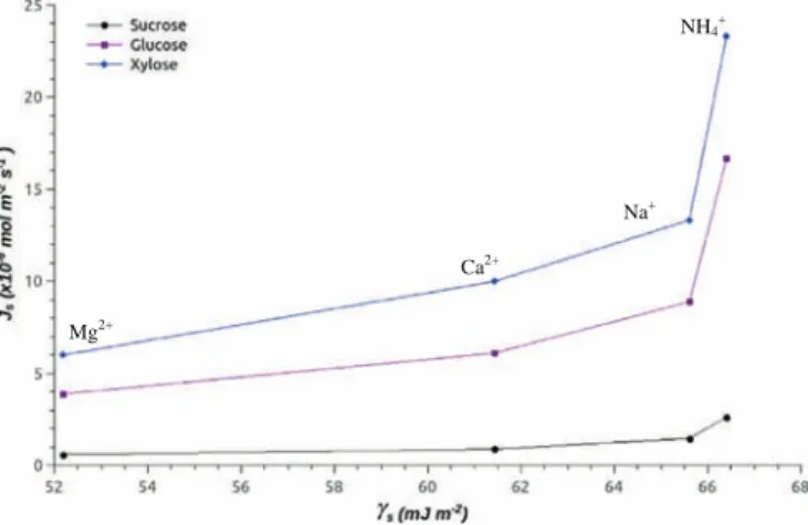 Fig. 10. Sugar ﬂuxes vs surface energies of CMX membrane in several ionic forms (Mg 2 þ , Ca 2 þ , Na þ and NH 4 þ )