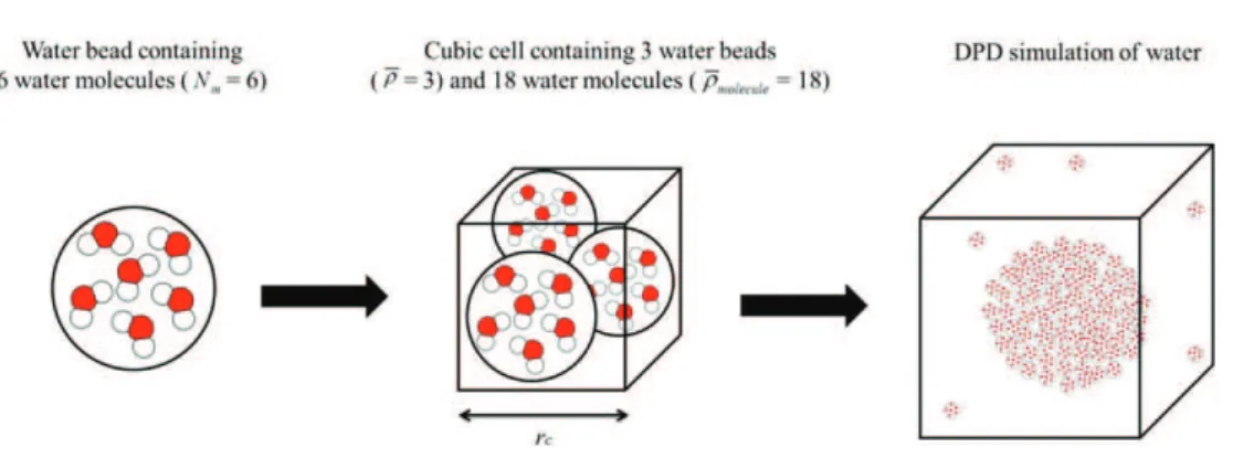 Fig. 2. Schematic representation of the coarse-graining of a water molecule. In this case, ρ ¼ 3 and N m = 6, the cut-off distance r c is therefore equal to the length of one side of the cubic cell.